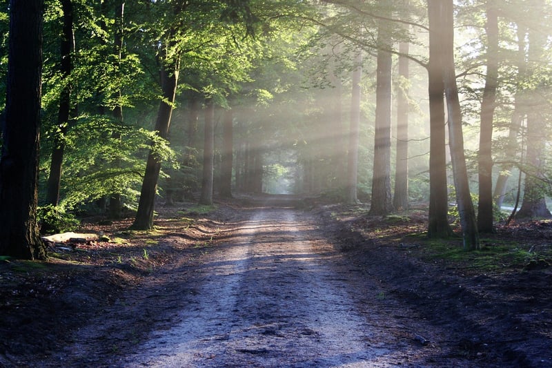 Nature Conservation